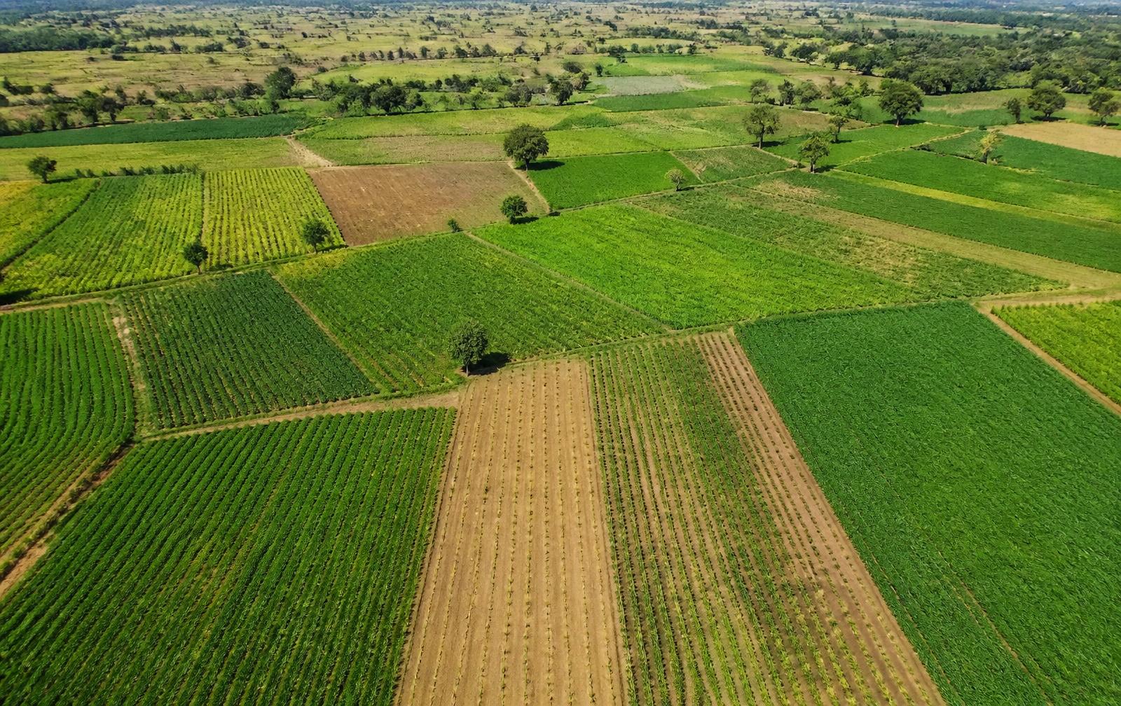 Aerial view of Indian agricultural plots used for crop monitoring